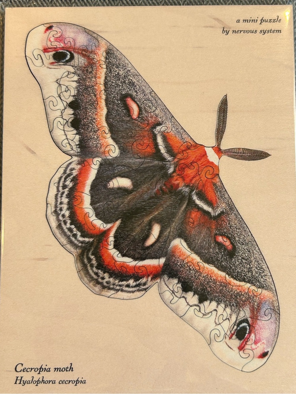 Nervous System Mini Wooden Puzzle - Cecropia Moth - EUC - add to your bundle!?!?